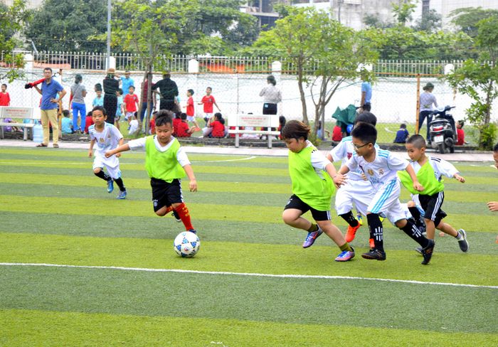 Trường Tiểu học - Trung học cơ sở Pascal - Hình ảnh 1