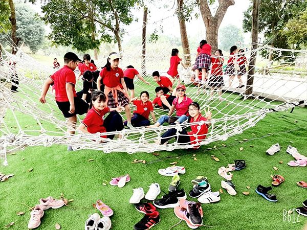Hoạt động ngoại khóa đầy màu sắc tại Trường Tiểu học Nguyễn Du