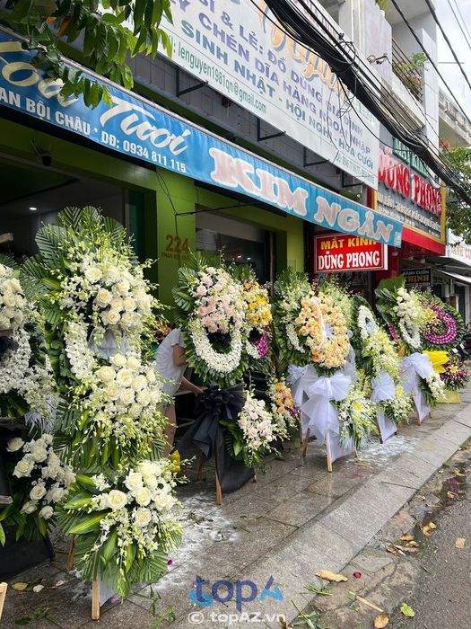 Kim Ngân Florist - Điểm hẹn hoa tươi Quy Nhơn