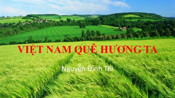 Hình ảnh minh họa sinh động (Nguồn: internet)