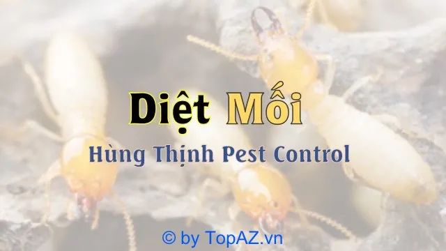 Hùng Thịnh - Giải pháp diệt mối tận gốc