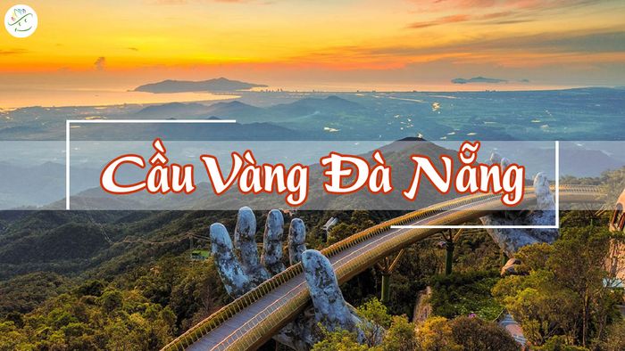 Hình ảnh minh họa (Nguồn: Internet)