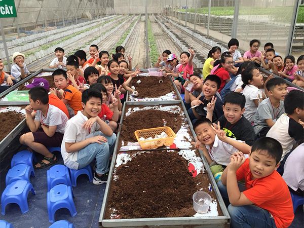 Hoạt động ngoại khóa sôi nổi tại Trường Tiểu học Xuân Phương