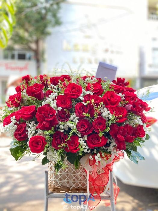 Hương Vy Florist - Thiên đường hoa tươi Quy Nhơn