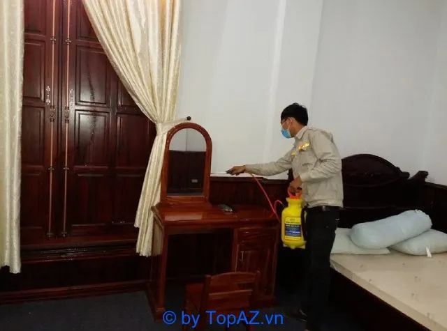 Giải pháp diệt mối chuyên nghiệp tại Quận 9, Thủ Đức - Hiệu quả tức thì, bảo hành dài lâu