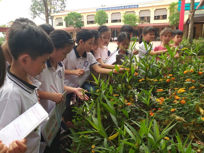 Trường Tiểu học Thị Trấn Quốc Oai B - Hình ảnh 2