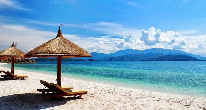 Hình ảnh minh họa (Nguồn: Internet)