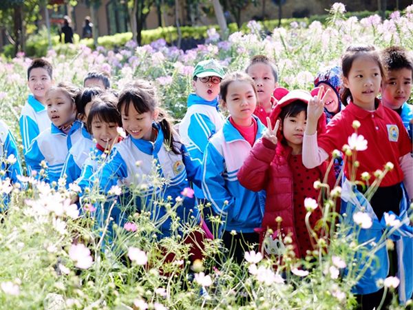 Hoạt động trải nghiệm thực tế đầy màu sắc