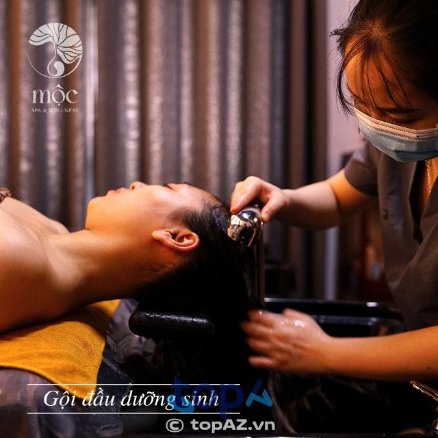 Thiên đường gội đầu dưỡng sinh đạt chuẩn tại trái tim Bắc Từ Liêm