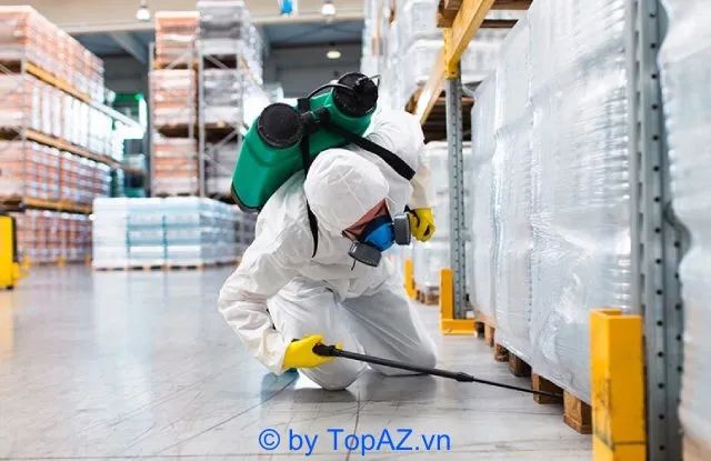 Tân Hùng Việt - Đơn vị diệt mối chuyên nghiệp hàng đầu
