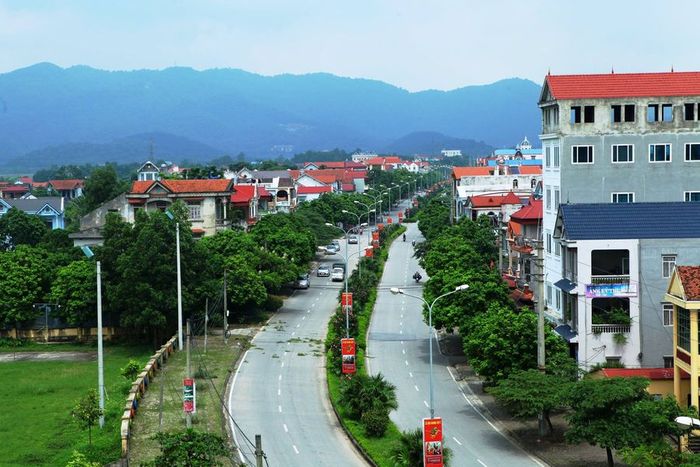 Con đường dẫn vào Đền Sóc - Di tích quốc gia đặc biệt tại Phù Linh, Sóc Sơn