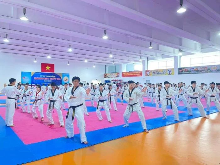 Hình ảnh sinh động về không gian luyện tập tại CLB Taekwondo Đống Đa