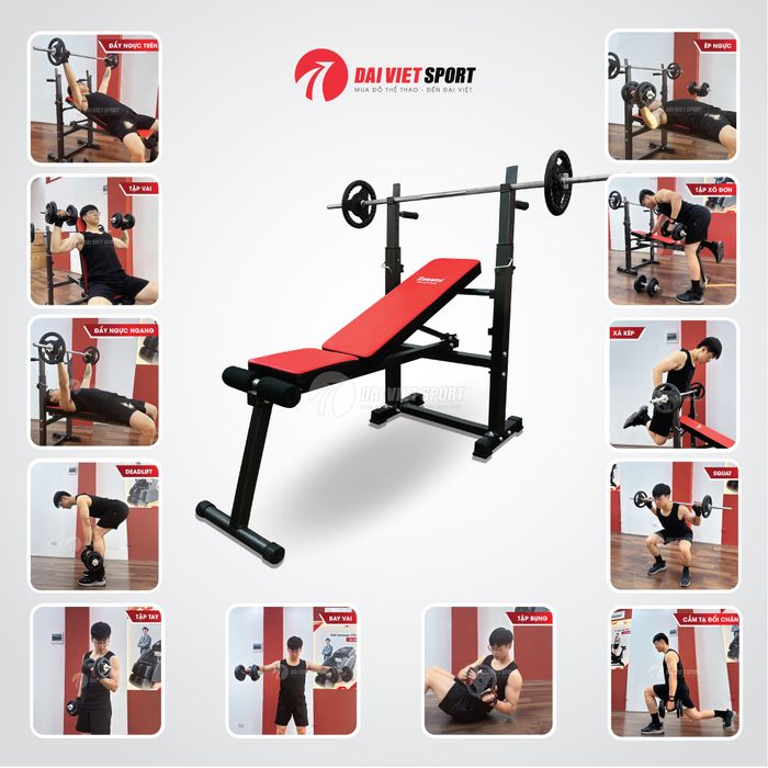 Hình ảnh showroom Đại Việt Sport