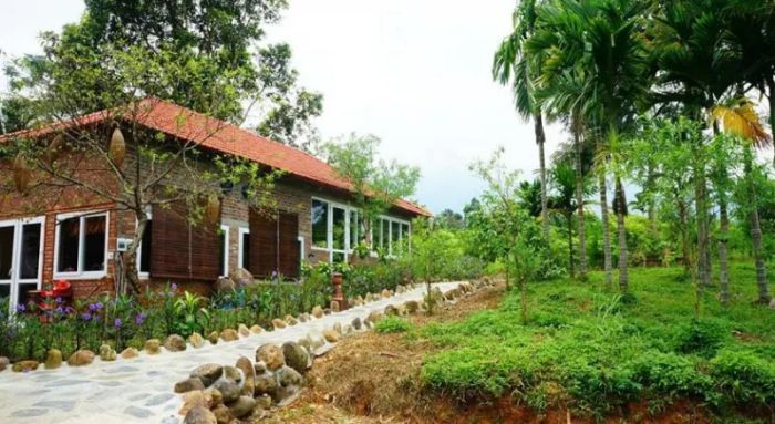 Ba Vì Homestead – Điểm hẹn của ký ức và sự thư thái (ảnh 2)