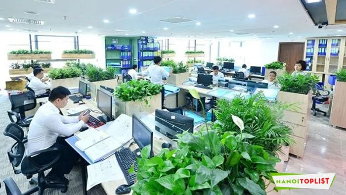 green-office-review-Mytour