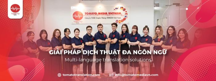 Hình ảnh quy trình làm việc chuyên nghiệp tại Tomato Media
