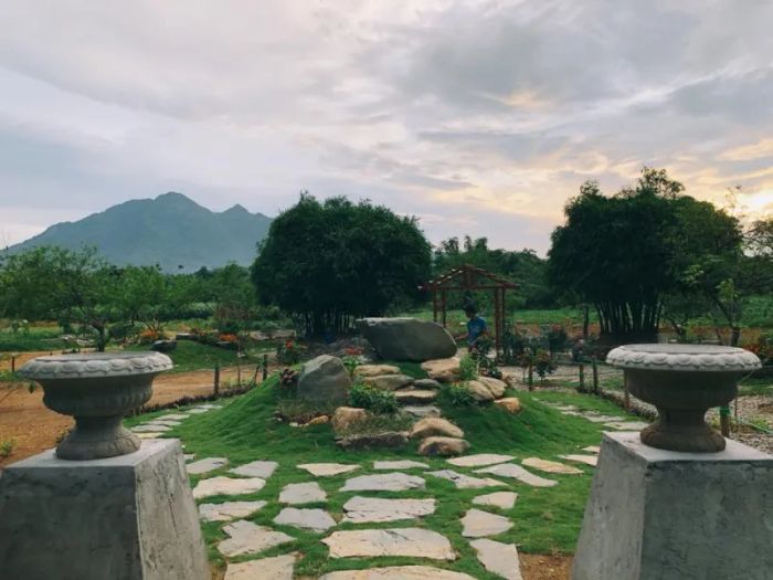 Mely Farm – Khoảnh khắc thư giãn giữa thiên nhiên thuần khiết (ảnh 2)