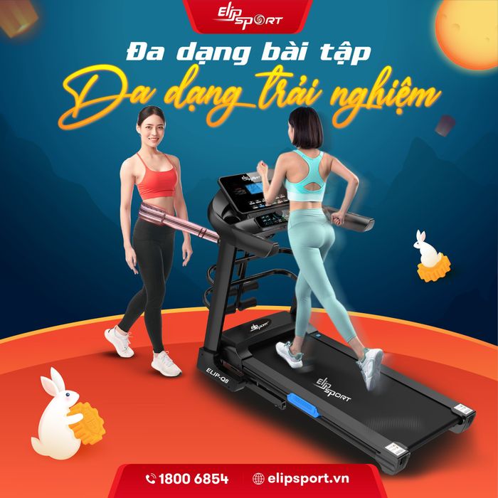 Không gian trưng bày hiện đại tại Elipsport
