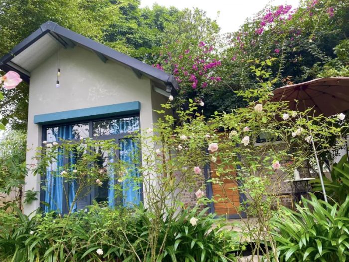 BAVI Padme Home – Hình ảnh lung linh bên rừng núi Ba Vì (ảnh 2)