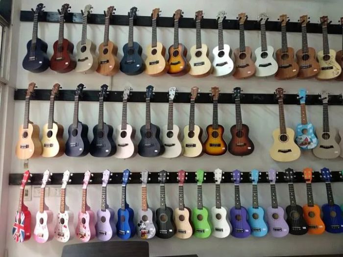 Không gian trưng bày đàn tại Guitar Hà Nội