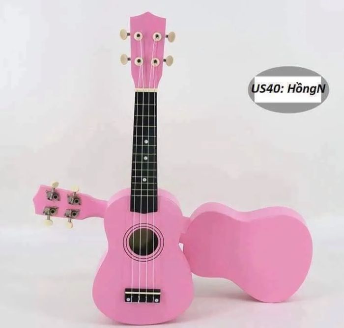 Không gian trưng bày đa dạng tại Ukulele Shop