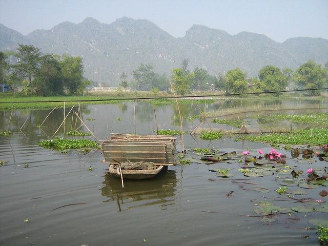 Hình ảnh minh họa 1