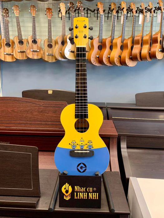 Bộ sưu tập ukulele đa dạng tại Nhạc cụ Linh Nhi