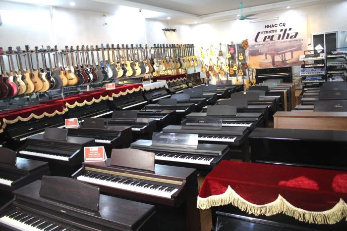 Không gian trưng bày đa dạng tại Nhạc Cụ Cecilia