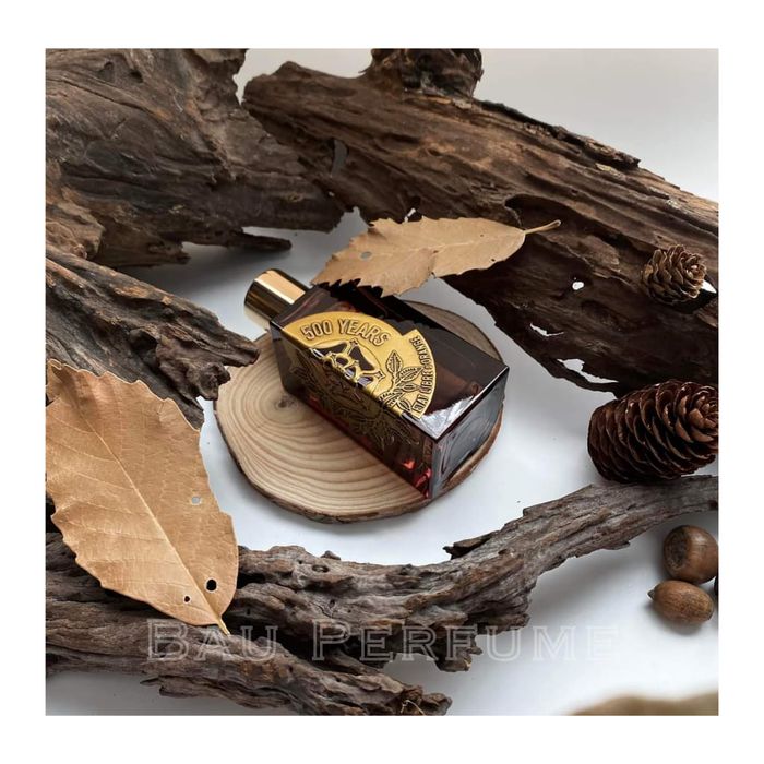 Bộ sưu tập nước hoa đa dạng tại BAU Perfume - The Fragrance House