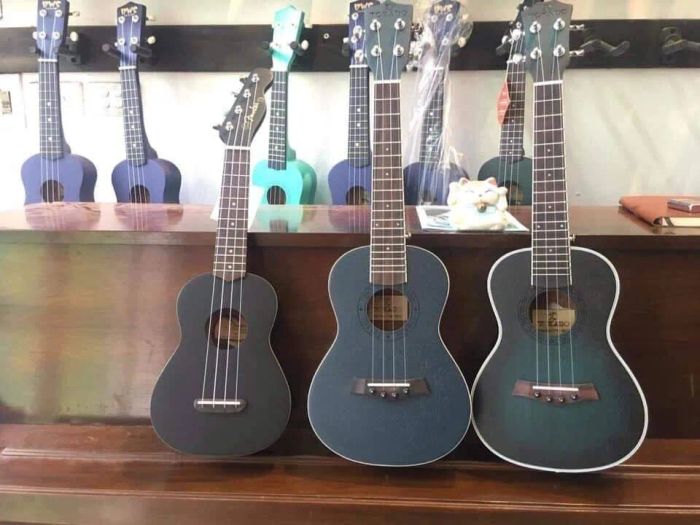Không gian mua sắm tại Ukulele Shop