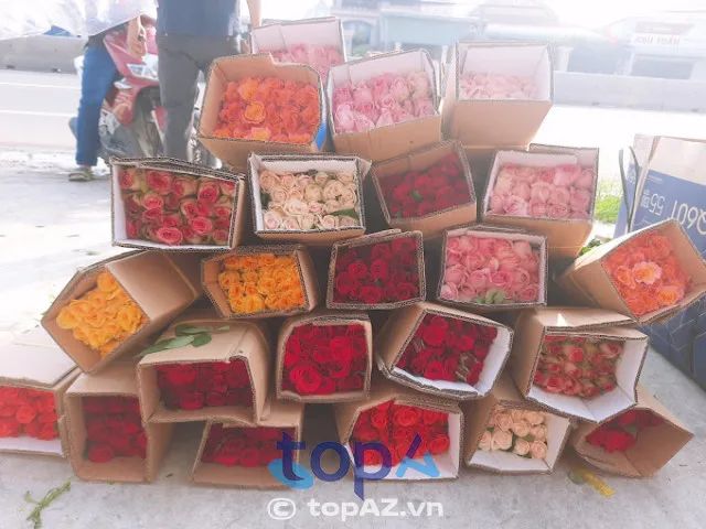 Địa chỉ đáng tin cậy: Hoa tươi Hòa Lợi, TP. Bến Cát, Bình Dương