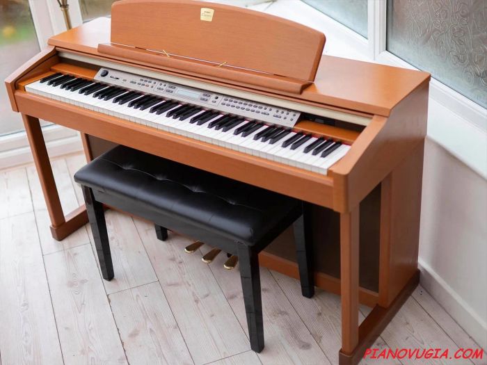 Không gian ấn tượng tại showroom Piano Vũ Gia