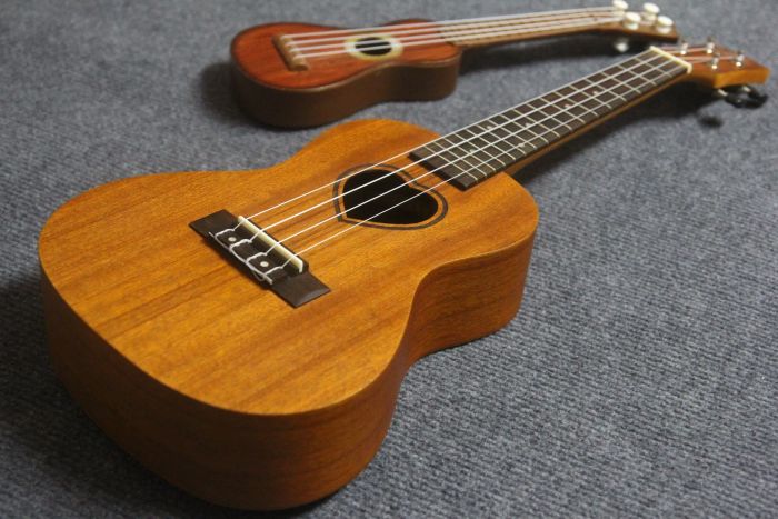 Bộ sưu tập ukulele đa dạng tại Sky Music