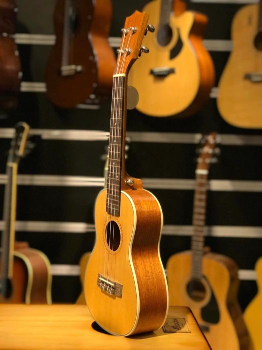 Góc nhìn nghệ thuật về các mẫu Ukulele chất lượng tại Tân nhạc cụ