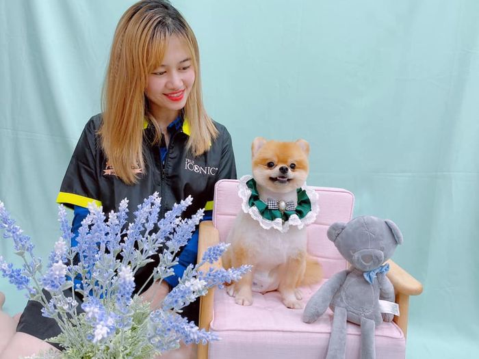 Alo and Pom - Ảnh 1