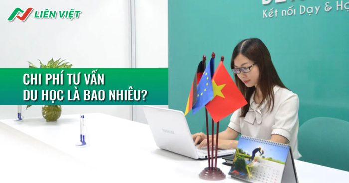 Hình ảnh minh họa (Nguồn: Internet)
