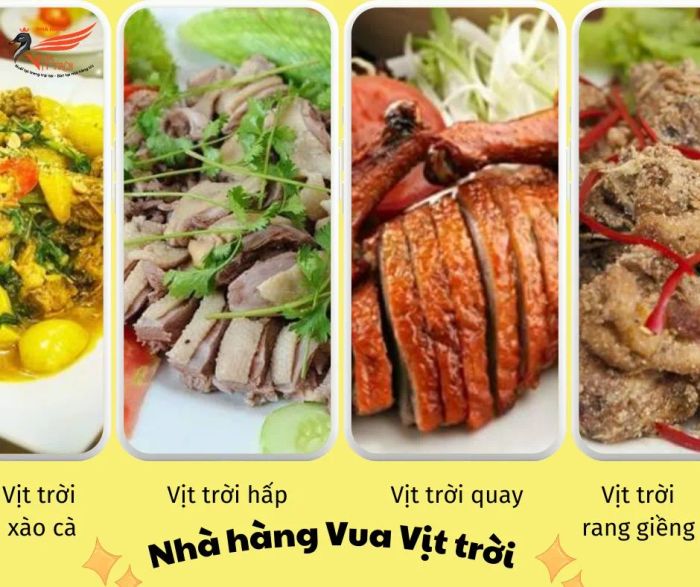 Hình ảnh không gian sang trọng và món vịt trời thượng hạng tại nhà hàng
