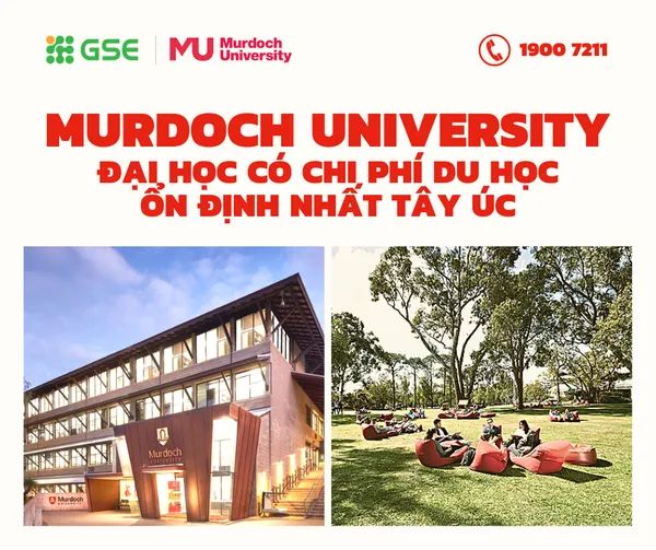 Hoạt động tư vấn tại GSE