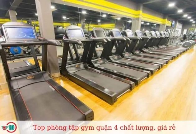 New Fit - Fitness & Yoga - Nơi hội tụ đam mê thể thao và sự tinh tế