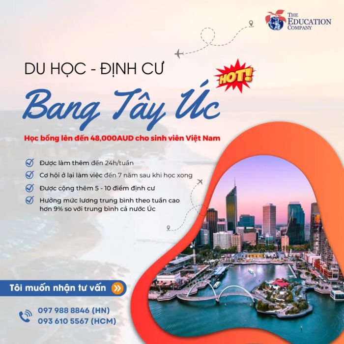 Hình ảnh tư vấn tại TEC Education