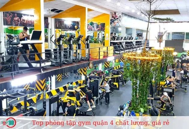 Cicilia Fitness & Yoga - Điểm hẹn lý tưởng cho gymer Quận 4