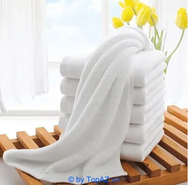 Địa chỉ cung cấp khăn spa chất lượng tại TP.HCM, mang đến sự lựa chọn tuyệt vời cho các cơ sở làm đẹp.