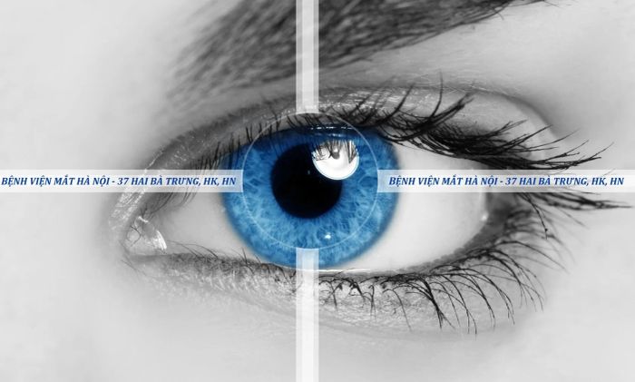 Hình ảnh đội ngũ y bác sĩ giàu kinh nghiệm tại Bệnh Viện Mắt Hà Nội