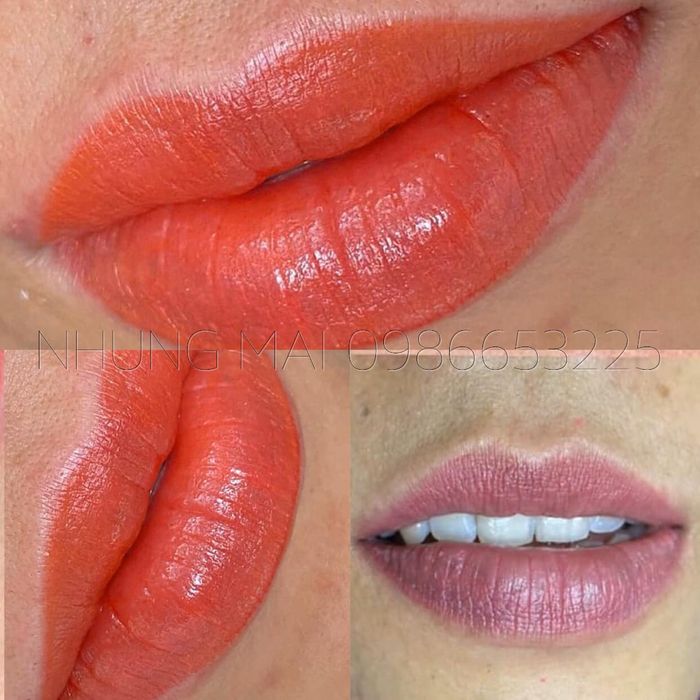 Ảnh minh hoạ của Nhung Eva 2