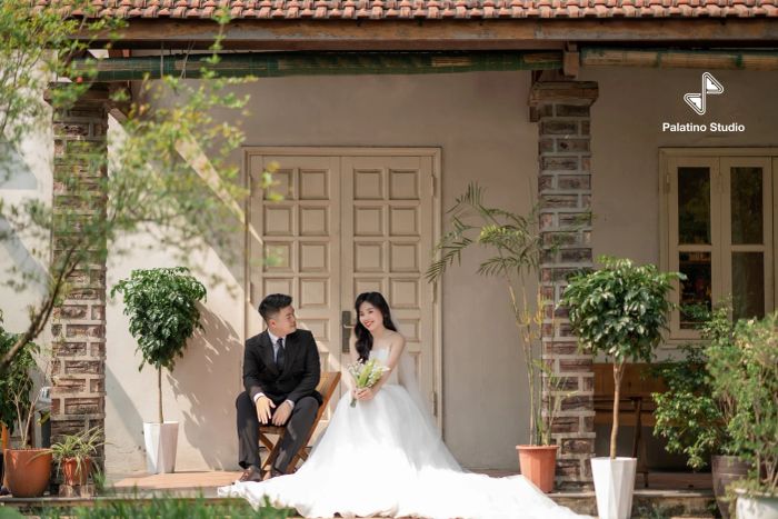 Ảnh minh họa (Nguồn: Palatino Studio) ảnh 1