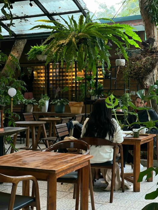 Góc thư giãn đầy cảm hứng giữa cây cổ thụ tại Treeland