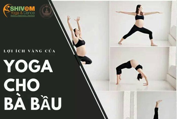 Không gian tập luyện đạt chuẩn quốc tế tại Shivom