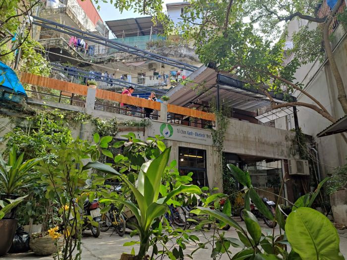 Bluebird's Nest Book Cafe - Tổ Chim Xanh qua ống kính: góc sách phủ nắng chiều, ly cà phê tỏa khói bên cửa sổ mộng mơ.