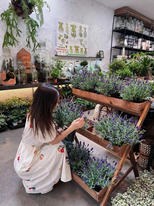 Góc thư giãn độc đáo giữa rừng cây tại ForDeer