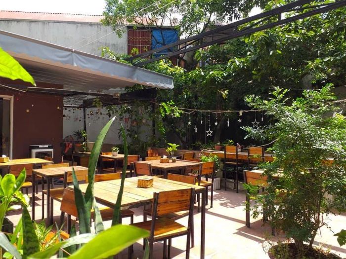 Bluebird's Nest Book Cafe - Tổ Chim Xanh qua góc máy: không gian xanh mướt với những kệ sách cũ nhuốm màu thời gian, nơi ánh sáng dịu nhẹ luồn qua kẽ lá.